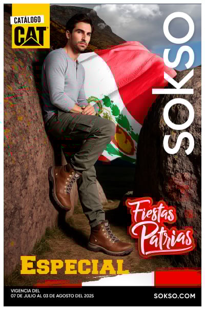 ESPECIAL FIESTAS PATRIAS CATERPILLAR